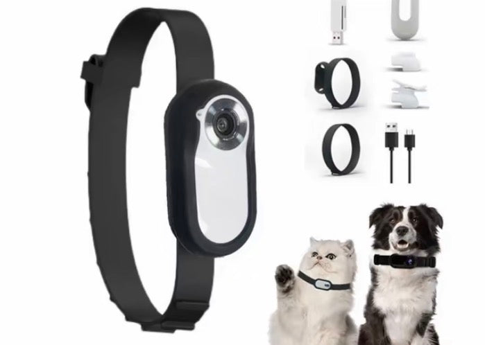 pet collar camera